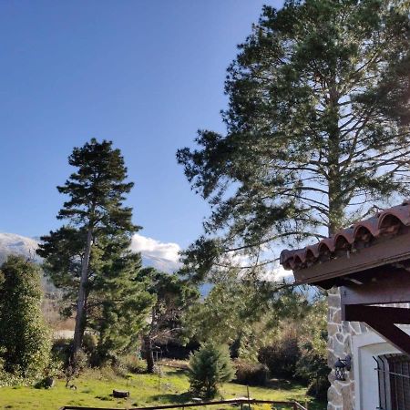 Casa Rural El Pinar Villa Navas de Riofrio Exteriör bild