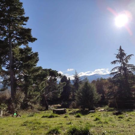 Casa Rural El Pinar Villa Navas de Riofrio Exteriör bild