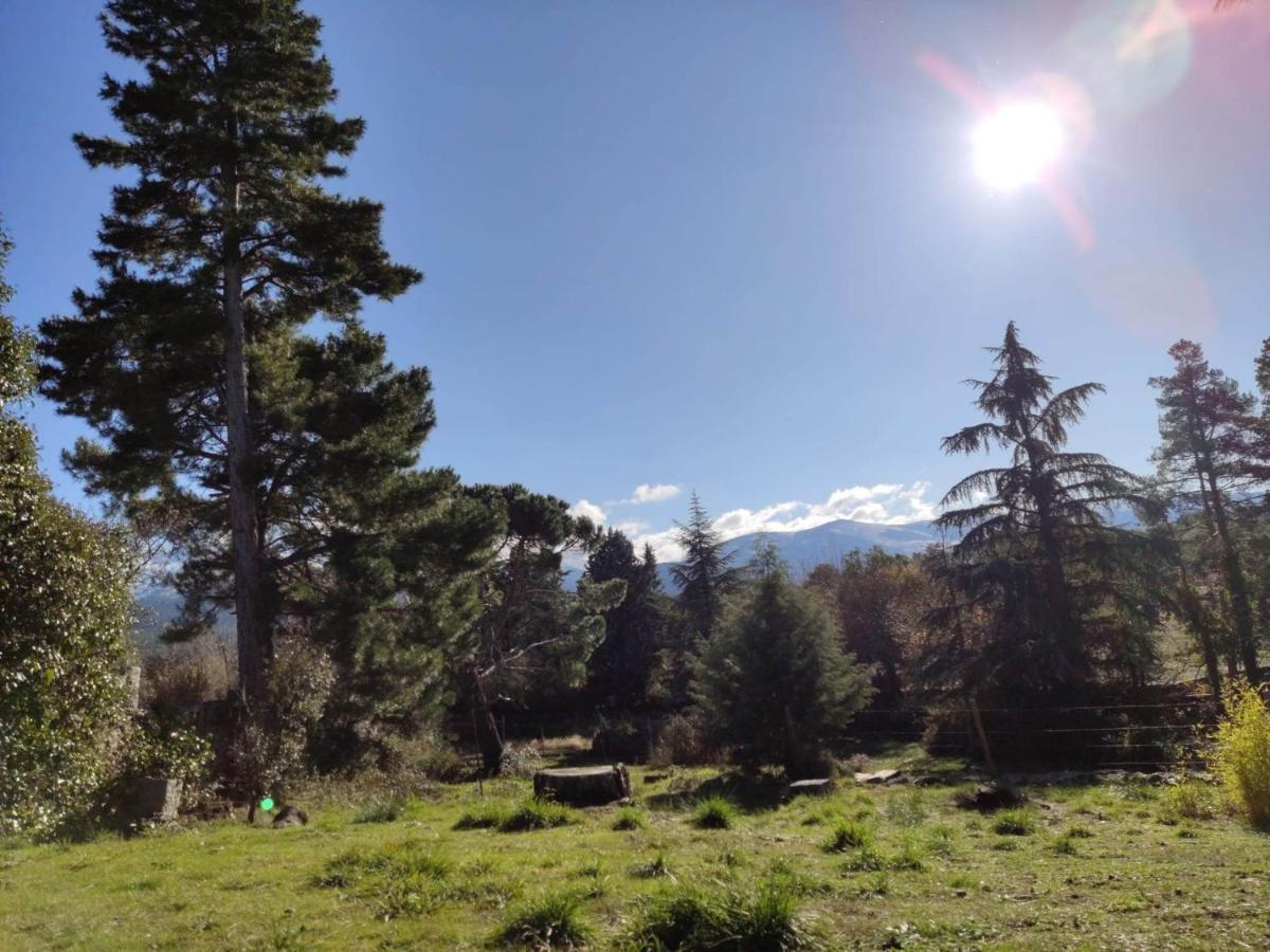 Casa Rural El Pinar Villa Navas de Riofrio Exteriör bild