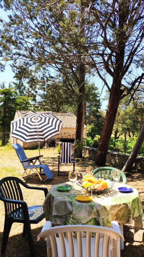 Casa Rural El Pinar Villa Navas de Riofrio Exteriör bild